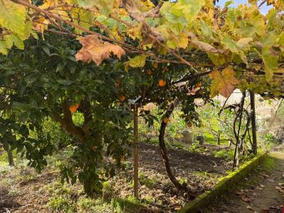 Santa Marta De Penaguião, Vila Real 5030-011, Portugal