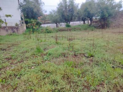 Tomar, Santarem 2300-106, Portugal