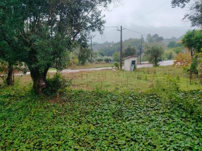 Tomar, Santarem 2300-106, Portugal