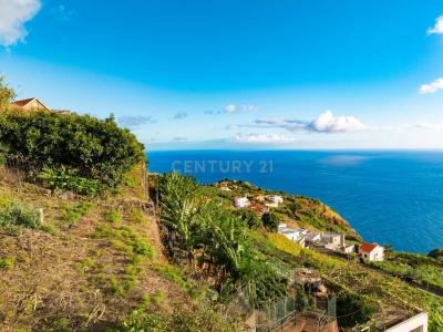 Ponta Do Sol, Madeira 9360-315, Portugal