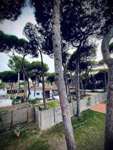 Barcelona, Cataluña/Catalunya 08850, Spain