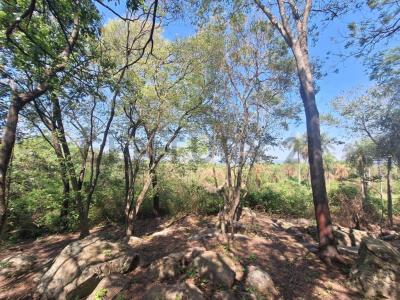 Ciervo Cua , San Bernardino, Cordillera 00001, Paraguay