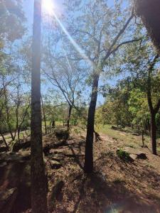 Ciervo Cua , San Bernardino, Cordillera 00001, Парагвай