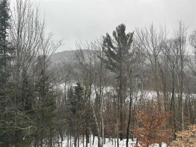 Rue Rolland, Sainte-Adèle, 魁北克省 J8B 1C7, 加拿大