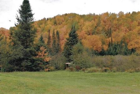 549  Ch. St-Louis, Amherst, Québec J0T 2L0, Canada