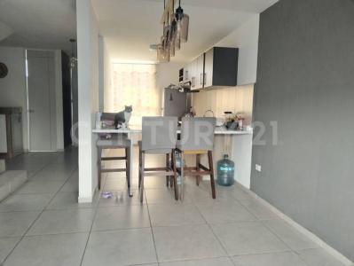 Condor  Andino ( Reserva Quetzales) 20358 215,, San Francisco De Los Romo, Aguascalientes 20358, Mexico