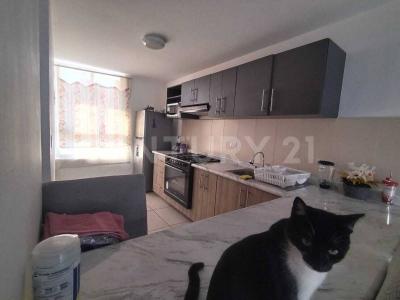 Condor  Andino ( Reserva Quetzales) 20358 215,, San Francisco De Los Romo, Aguascalientes 20358, Mexico