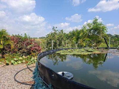 Fraccionamiento del Cobano  Cuauhtemoc Colima S/N,, Cuauhtemoc, 科利马 28553, 墨西哥