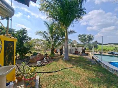 Fraccionamiento del Cobano  Cuauhtemoc Colima S/N,, Cuauhtemoc, 科利马 28553, 墨西哥