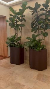 Marcelo T. de Alvear 1743, Recoleta, Capital Federal 00001, Argentina