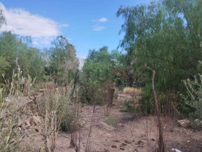 Patricias Argentinas 464, Maipú, メンドサ 00001, アルゼンチン