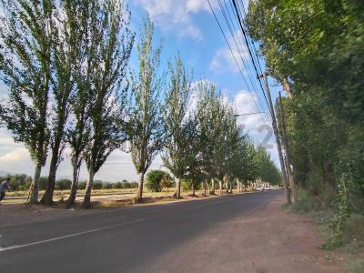 Luján De Cuyo, Mendoza 5507, Argentine
