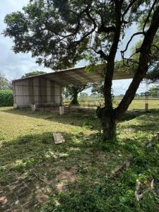 URBANIZACION LA SOLUCION I , Este, Santa Cruz 00001, Bolivia