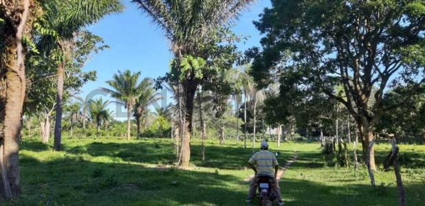 urubo las cruces , Urubo, Santa Cruz 00001, Bolívia