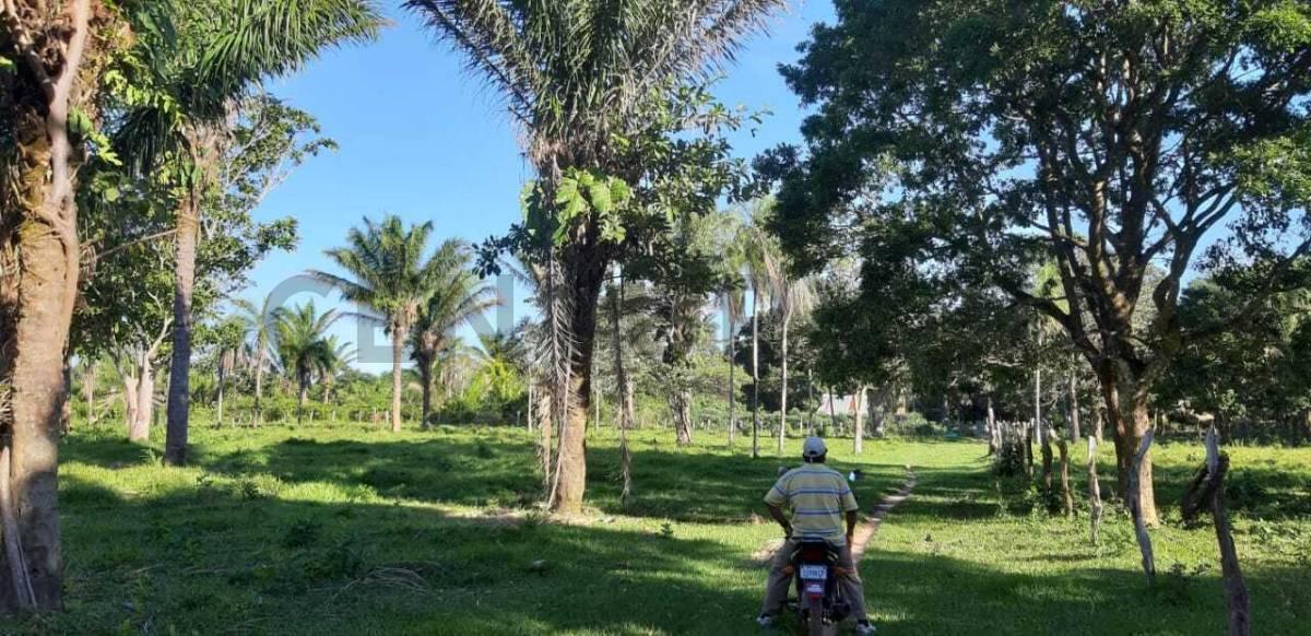 urubo las cruces , Urubo, Santa Cruz 00001, بوليفيا