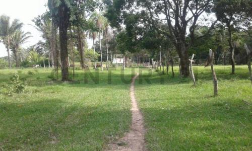 urubo las cruces , Urubo, Santa Cruz 00001, بوليفيا