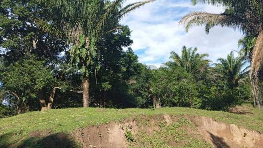 urubo las cruces , Urubo, Santa Cruz 00001, بوليفيا