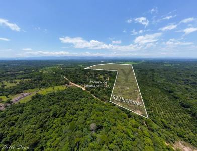 Norte, Santa Cruz 00001, Bolívia