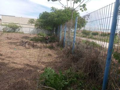 Norte, Santa Cruz 00001, Bolivie