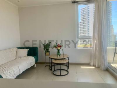 Entrelomas, Valparaíso, Valparaíso 00001, Chile