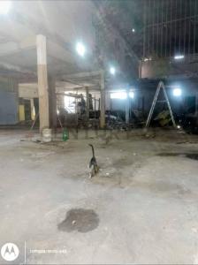 Barcelone, Anzoategui 6001, Venezuela