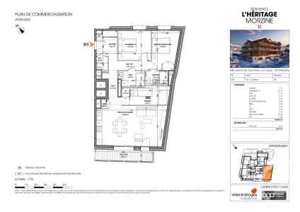 Morzine, 羅納阿爾卑斯 74110, 法國
