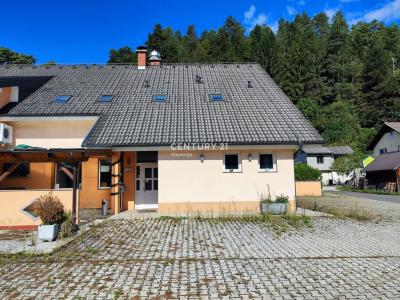 Muta, Muta, Koroška 2366, سلوفينيا