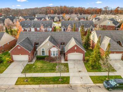 30231 Viewcrest Drive, Novi, Michigan 48377, Stati Uniti