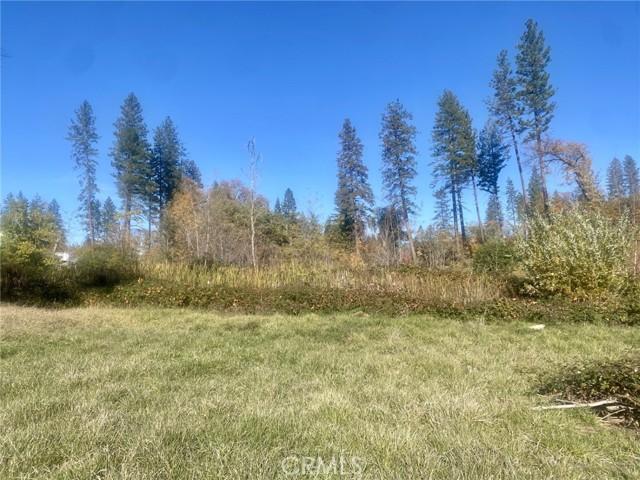 1865 Paige, Paradise, קליפורניה 95969, ארצות הברית של אמריקה 