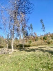 1865 Paige, Paradise, קליפורניה 95969, ארצות הברית של אמריקה 