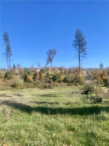 1865 Paige, Paradise, קליפורניה 95969, ארצות הברית של אמריקה 