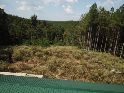 1661 Sassafras Stand Ridge Rd, Linden, Tennessee 37096, USA