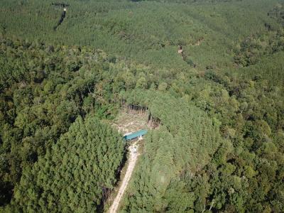 1661 Sassafras Stand Ridge Rd, Linden, Tennessee 37096, USA