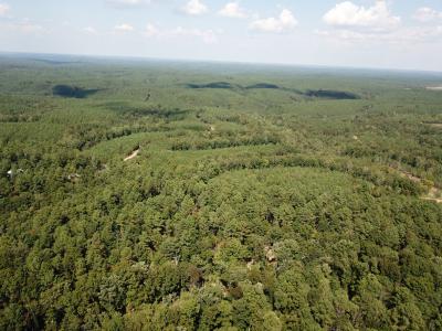 1661 Sassafras Stand Ridge Rd, Linden, Tennessee 37096, USA