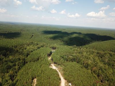 1661 Sassafras Stand Ridge Rd, Linden, Tennessee 37096, USA