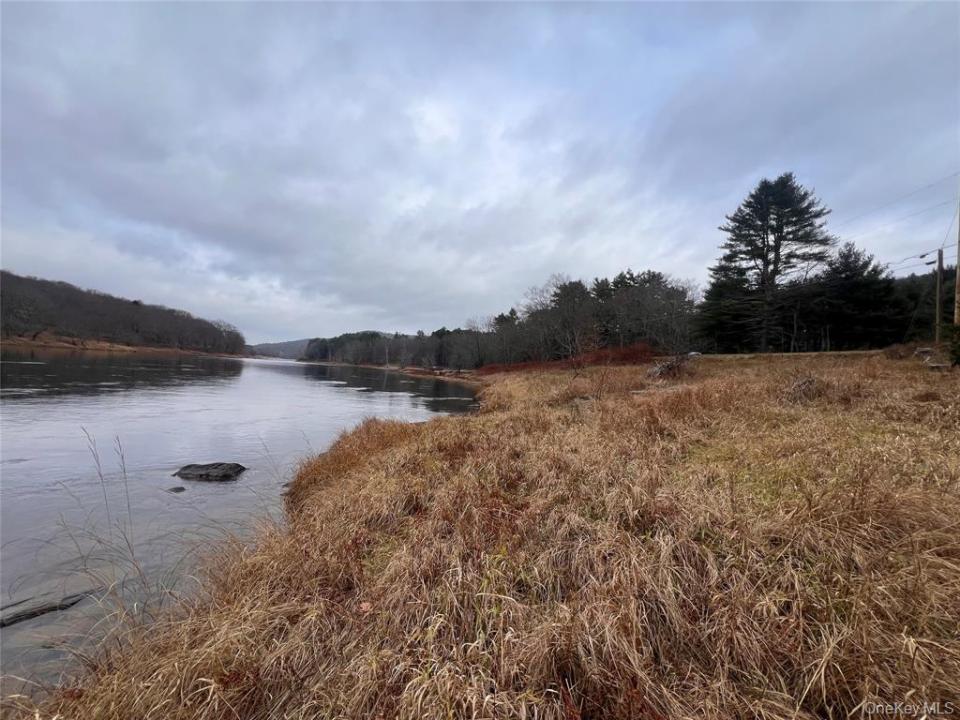 Hankins Rd    7.39 Acres, Narrowsburg, Nova Iorque 12764, Estados Unidos