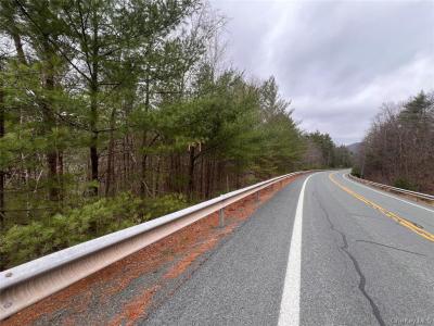 Hankins Rd    7.39 Acres, Narrowsburg, Nova Iorque 12764, Estados Unidos