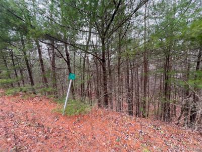 Hankins Rd    7.39 Acres, Narrowsburg, Nova Iorque 12764, Estados Unidos