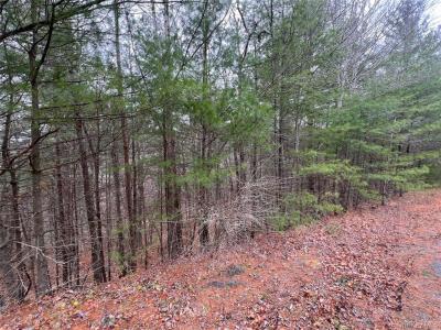 Hankins Rd    7.39 Acres, Narrowsburg, Nova Iorque 12764, Estados Unidos