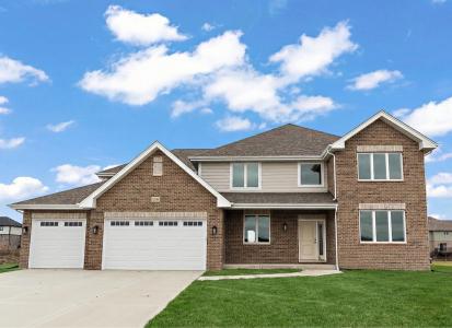 8195 Stanley Trail, Frankfort, 伊利诺斯州 60423, 美国