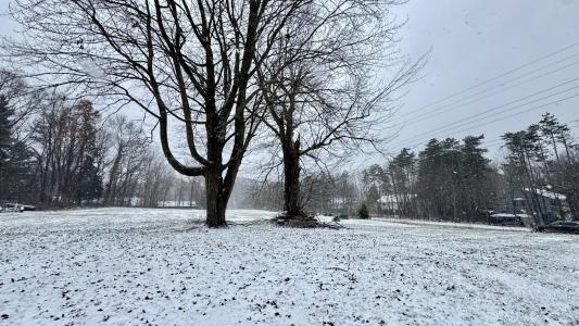 6593 134th Avenue, Saugatuck, Michigan 49453, USA