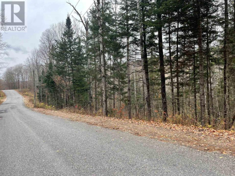 0 SNOW ROAD, Bancroft (bancroft Ward), Ontario K0L 1C0, Canada