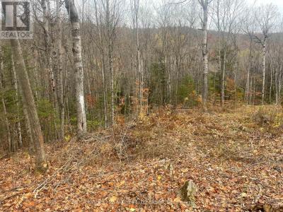 0 SNOW ROAD, Bancroft (bancroft Ward), Ontario K0L 1C0, Canada