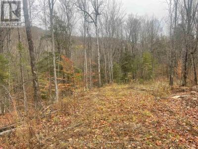 0 SNOW ROAD, Bancroft (bancroft Ward), Ontario K0L 1C0, Canada