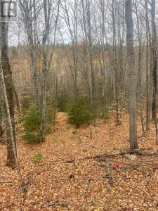 0 SNOW ROAD, Bancroft (bancroft Ward), Ontario K0L 1C0, Canada