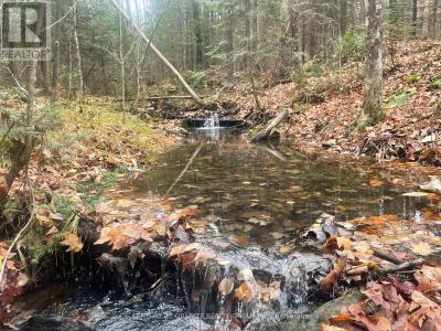 0 SNOW ROAD, Bancroft (bancroft Ward), Ontario K0L 1C0, Canada