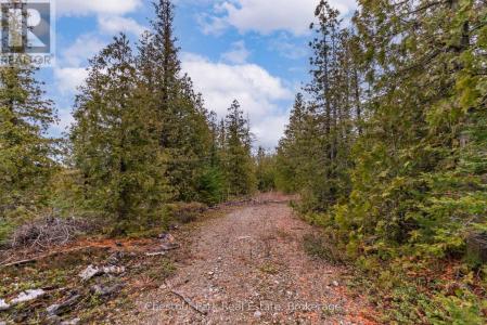 N/A LITTLE PINE DRIVE, Northern Bruce Peninsula, Ontario N0H 1Z0, Canada