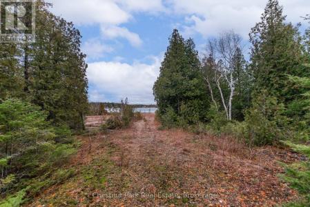 N/A LITTLE PINE DRIVE, Northern Bruce Peninsula, Ontario N0H 1Z0, Canada