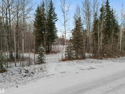 TWP 501 RANGE ROAD 91 - LOT 3, Rural Brazeau County, Alberta T7A 2A3, Canada