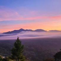 San Juan De Mata Turrubáres, San José 61105, Costa Rica